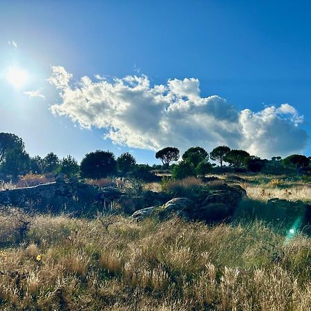 Casa Rural, “El Andador” El Hoyo de Pinares Exterior foto